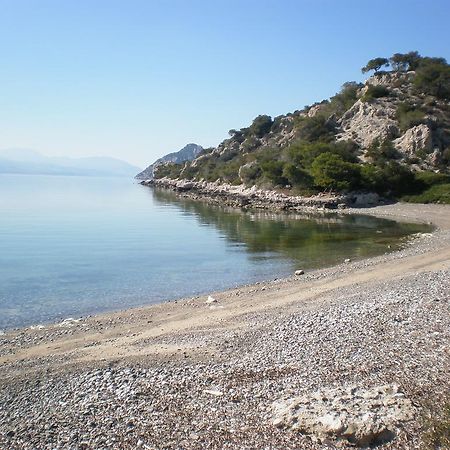 Vila Marvelous House By The Sea Jezero Vouliagmenis Exteriér fotografie